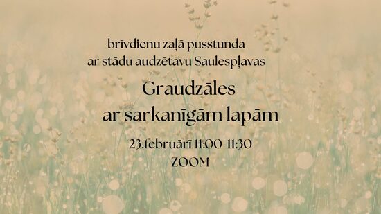 ZOOM tikšanās `GRAUDZĀLES AR SARKANĪGĀM LAPĀM`