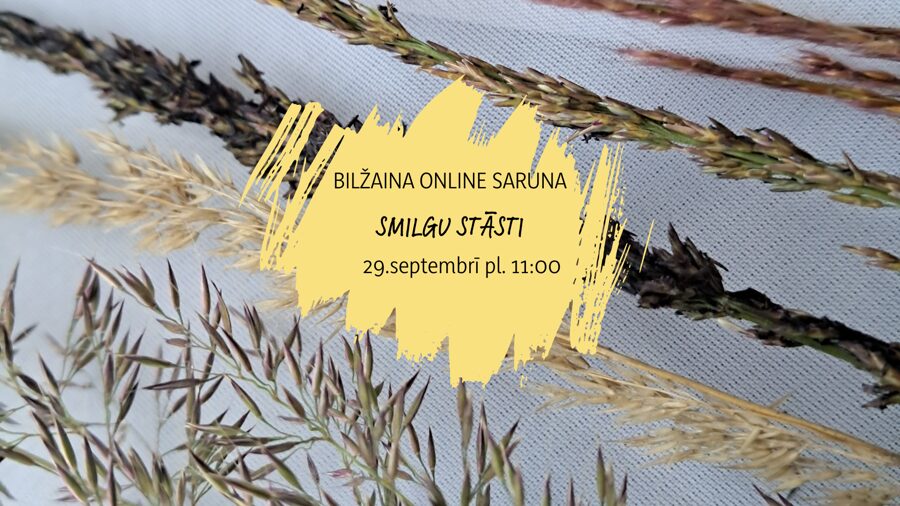 Online bilžu saruna SMILGU STĀSTI