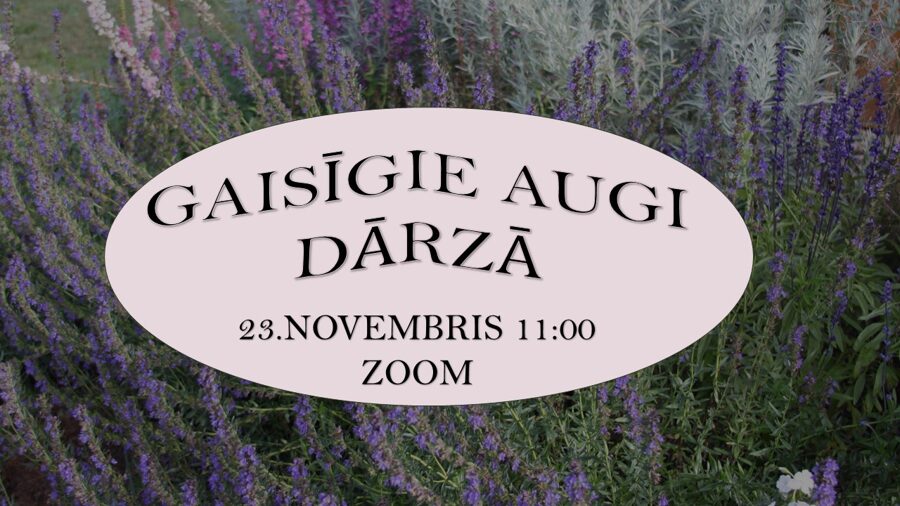 ZOOM lekcija "Gaisīgie augi dārzā" 23.novembrī 11:00