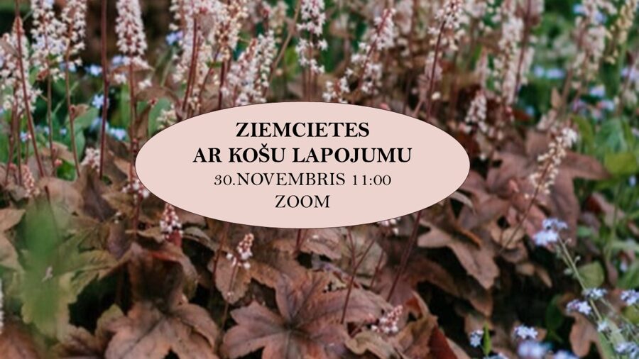 ZOOM lekcija "Ziemcietes ar košu lapu krāsu" 30.novembrī 11:00