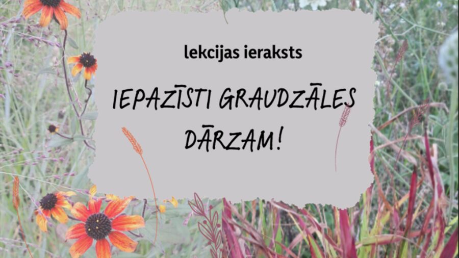 Zoom lekcijas ieraksts "Iepazīsti graudzāles dobei!"