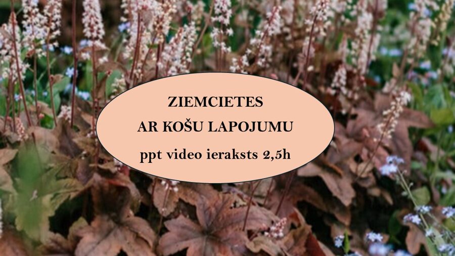 Slaidu prezentācijas video ieraksts ZIEMCIETES AR KOŠU LAPOJUMU
