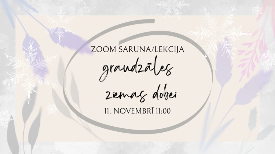 11.novembra lekcija GRAUDZĀLES ZIEMAS DOBEI