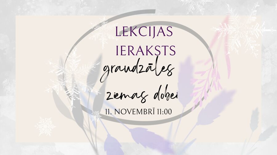 Graudzāles ziemas dobei - 11.novembra lekcijas ieraksts